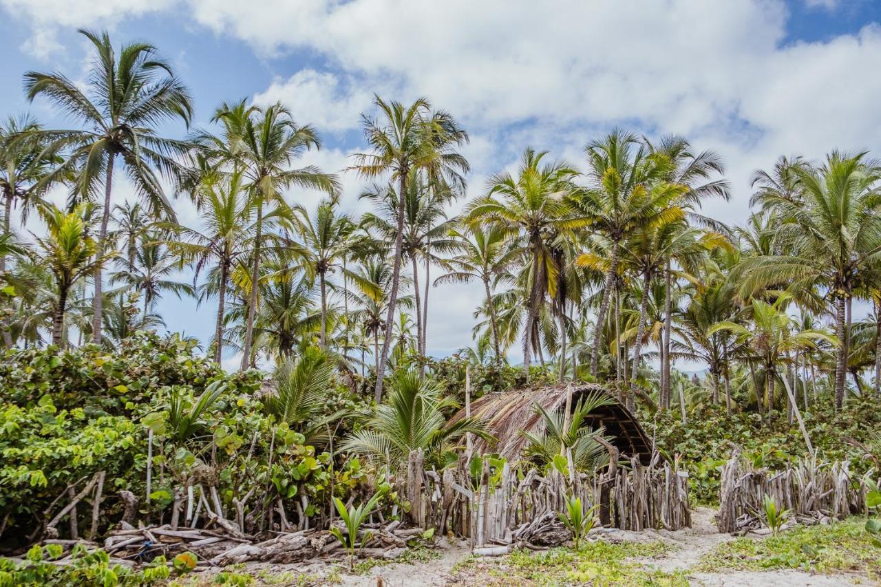 Lote 10 Glamping Hotel Guachaca Eksteriør billede