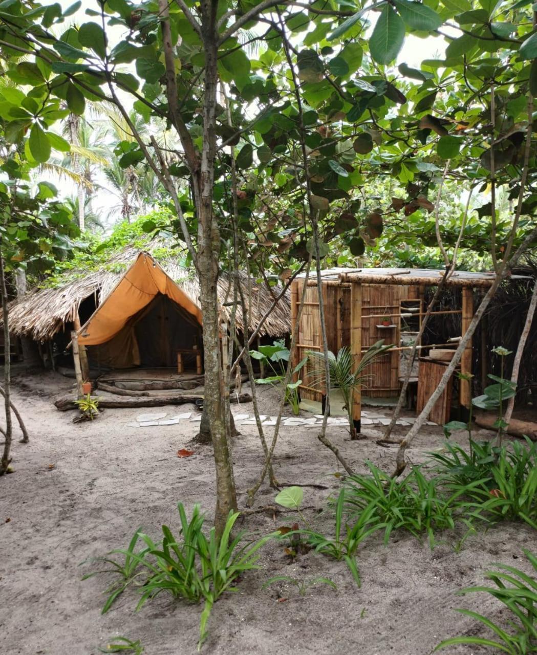 Lote 10 Glamping Hotel Guachaca Eksteriør billede