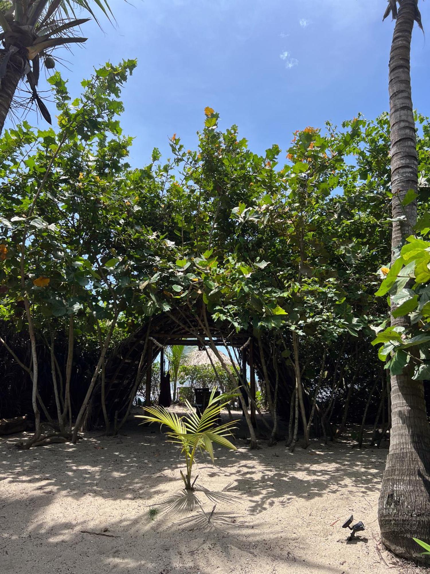 Lote 10 Glamping Hotel Guachaca Eksteriør billede